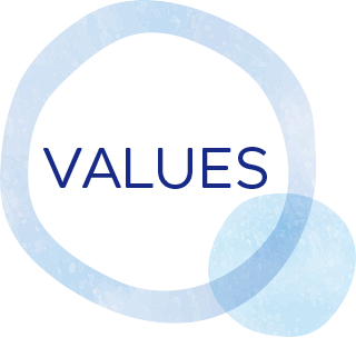 VALUES_icon